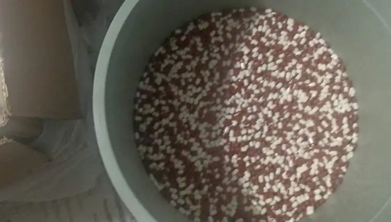 Çöpten Çıkan Uyuşturucunun Şok Edici Miktarı Dünyayı Sarstı