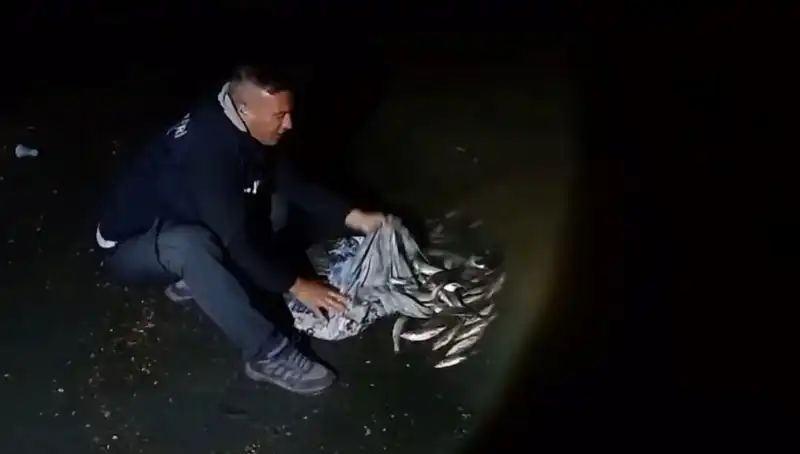 Bir Ton İci Kefali Avlandı: Balıkçılarda Sevinç, Doğada Çağrı!