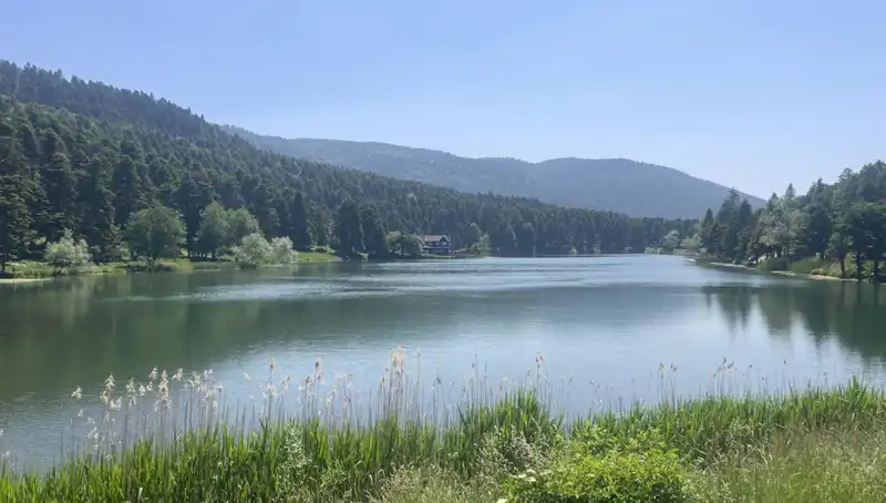 Bolu'nun Büyüleyici Milli Parklarına Ziyaretçi Akını: Doğa Tutkunları Burada Buluşuyor!