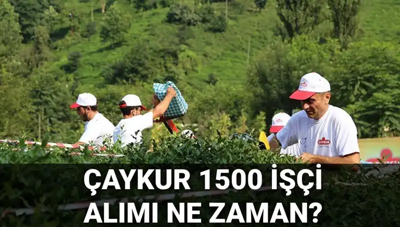 Çaykur İşçi Alımı Başvuru Tarihleri Resmen Açıklandı! Fırsatlar Kaçmasın