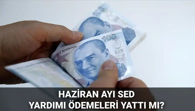 Haziran 2025 SED Ödemeleri: Sorgulama ve Yatış Tarihleri Hakkında Tüm Bilgiler