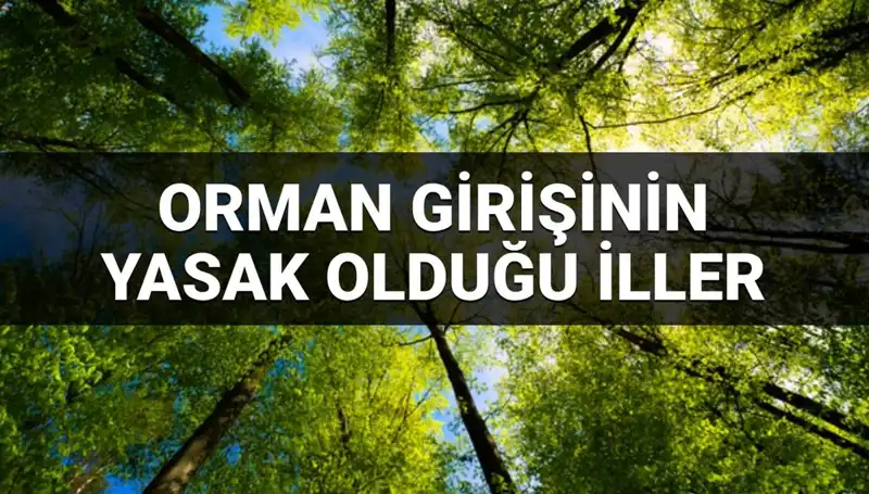Orman Girişine Yasaklanan İller: 2025’te Hangi Bölgeler Etkilenecek?