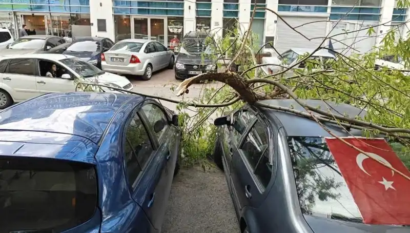 Kayseri'yi Vuran Fırtına: Ağaçlar Yıkıldı, Hayat Durma Noktasına Geldi