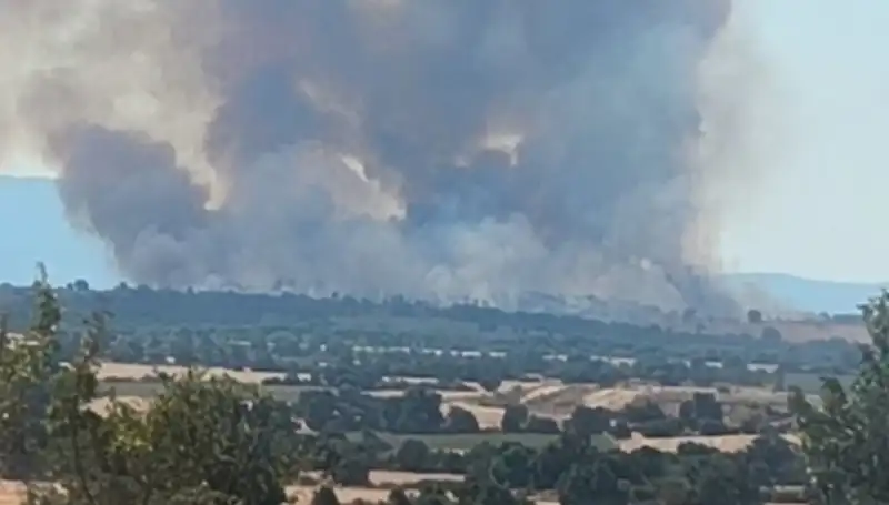 Edirne'de Komşu Orman Yangını Şehri Dumana Boğdu: Nedenleri ve Etkileri