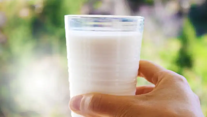Uzman Doktor Açıkladı: Süt Şişkinliğe Neden Olur Mu?