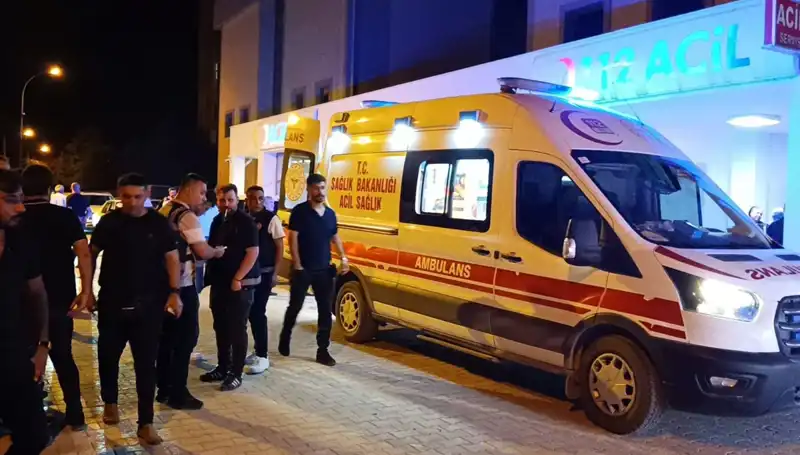 Kardeş Kavgası: Araya Giren Büyüğün Korkunç Sonu