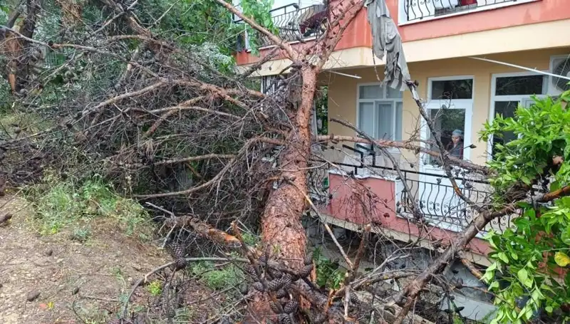 Yağmurların Kurbanı: Bina Çöktü, Yerle Bir Oldu!