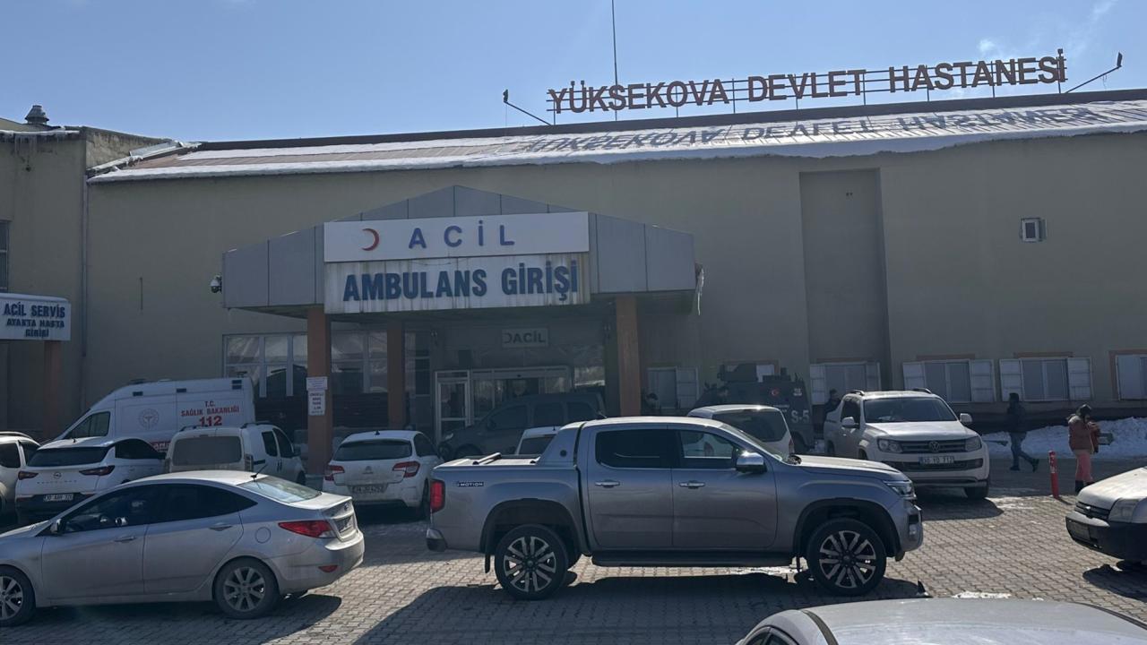 Başıboş Köpeklerin Saldırısında Ölen Çocuk İçin Müfettiş Görevlendirildi