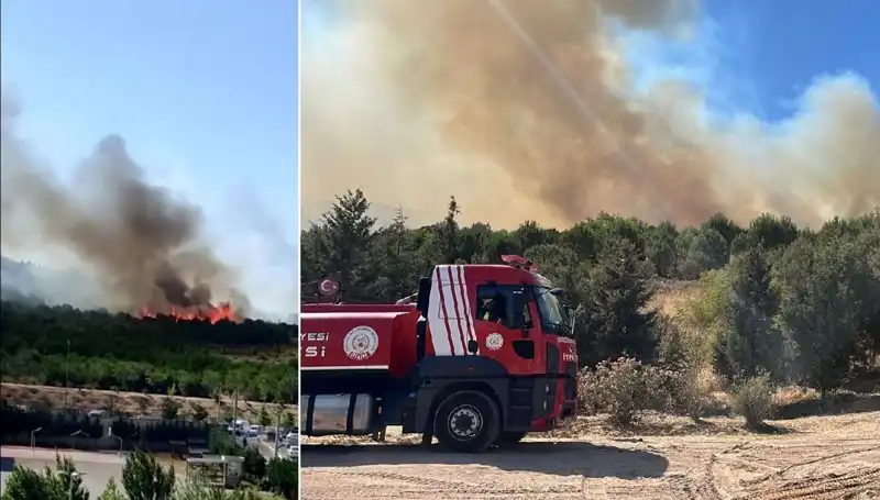 Gebze'de Korkutan Orman Yangını: Bölge Kapatıldı, Ekipler Seferber Oldu!