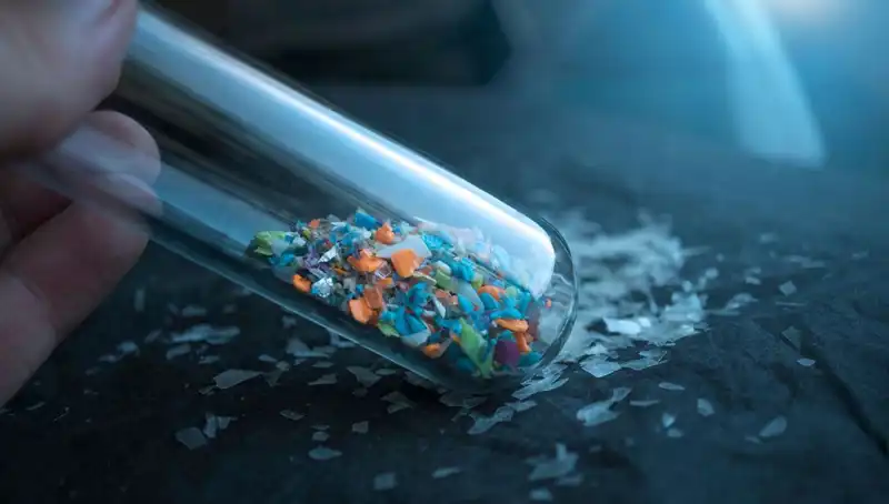 Mikroplastikler Beynimizde Ne Kadar Tehlikeli? İşte Son Gelişmeler