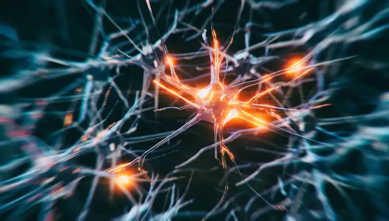 Alzheimer Vakalarının Artışı: Nedenler ve Gelecekteki Etkileri