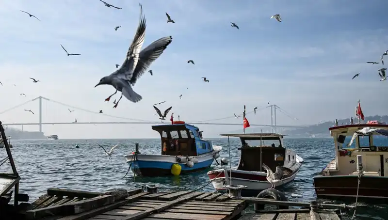 İstanbul'da Bahar Havası Geliyor: Tarih ve Detaylar Açıklandı