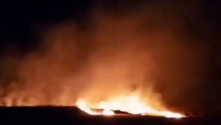 Tekirdağ'da 20 Dekar Buğday Tarlasının Küle Dönüşmesi: Tarımda Büyük Kayıp!