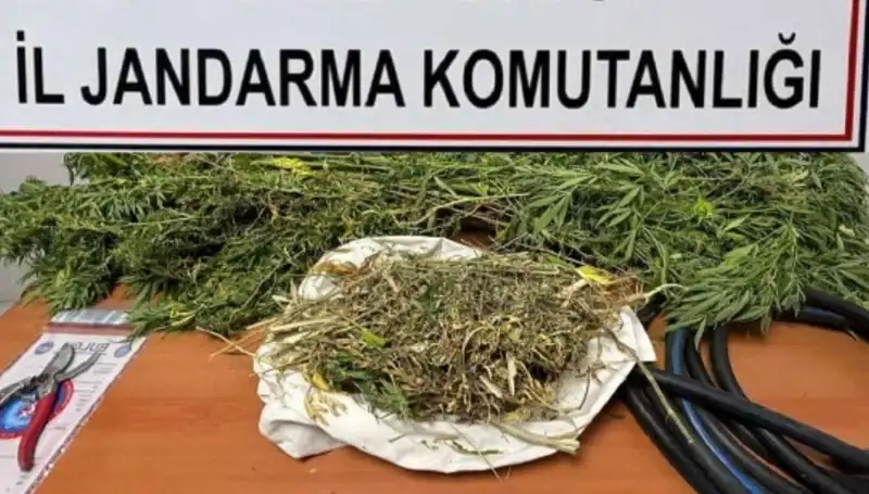Niğde'de Eş Zamanlı Uyuşturucu Operasyonu: Çok Sayıda Gözaltı