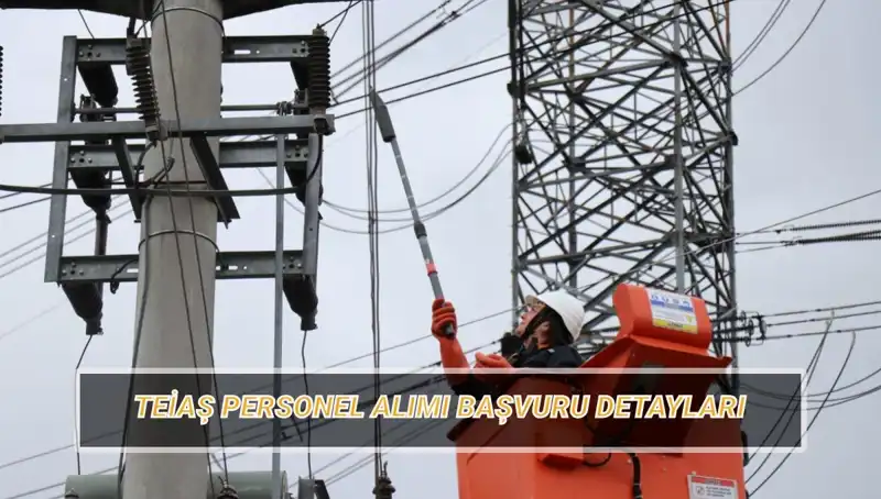TEİAŞ Personel Alımı 2023: Başvuru Tarihleri ve Şartlar Açıklandı