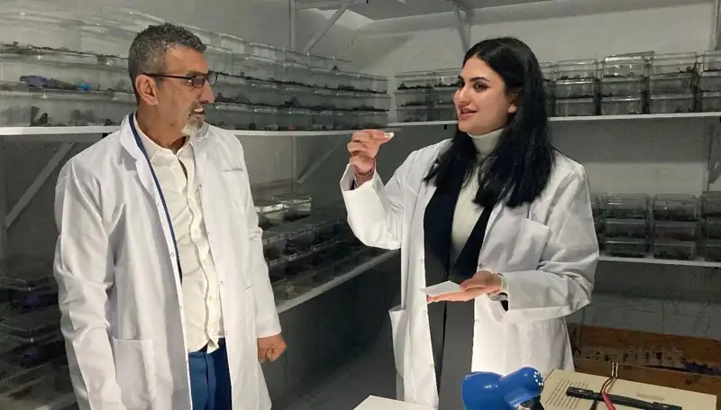 Akrep Zehri Şekerle Buluştu: Gizemli Lezzetin Sırları