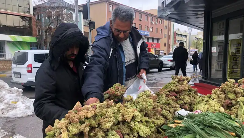 Kendiliğinden Yetişen Bir Mucize: Kanserle Savaşan Vitamin Deposunun Faydaları