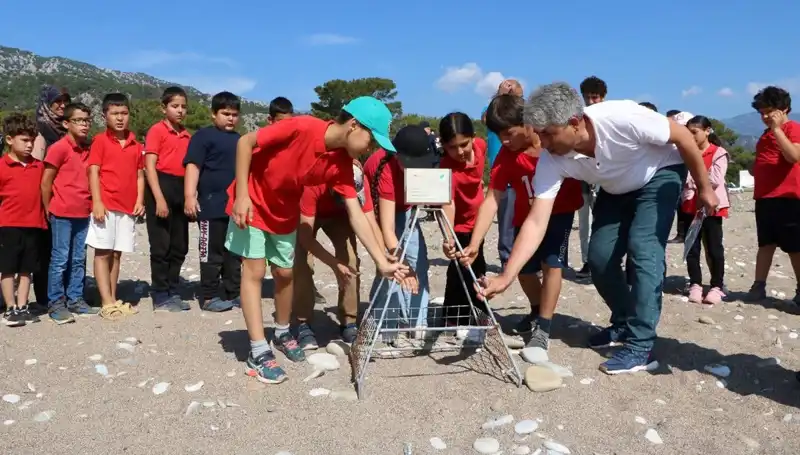 Kemer'de Caretta Caretta Yasakları Başladı: Plajlar Koruma Altında!