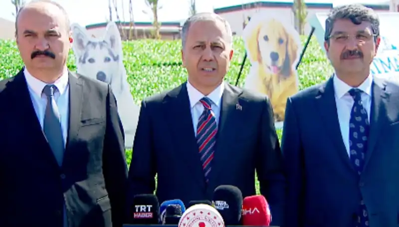 Sokak Köpekleri Tartışmasında Gözler İçişleri Bakanlığı'na Çevrildi: 81 İle Müfettiş Gönderildi