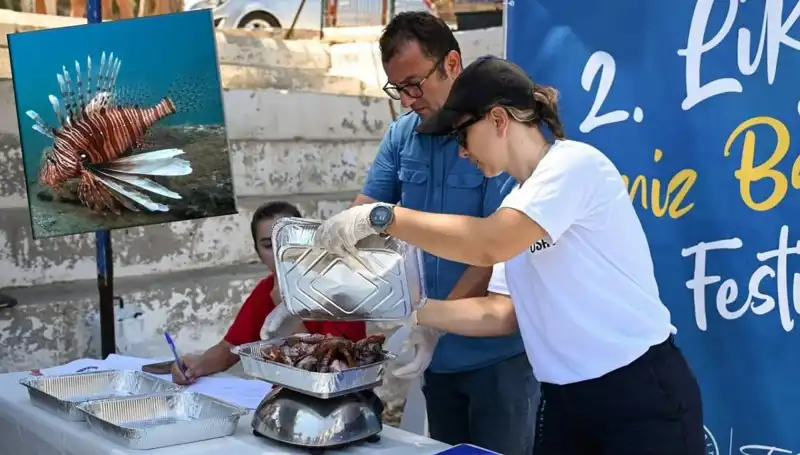 Antalya'da İstilacı Aslan Balığı Avlama Yarışması Başlıyor: Ekosistemi Koruma Mücadelesi