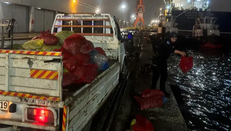 Kaçak Midyelere Büyük Darbe: Sağlık Tehlikesi Aşılmadı!