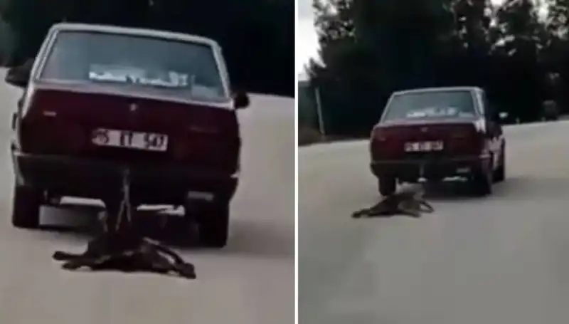 Otomobilin Arkasına Bağlı Köpeği Sürüklemesi Sosyal Medya'da Tepki Çekti