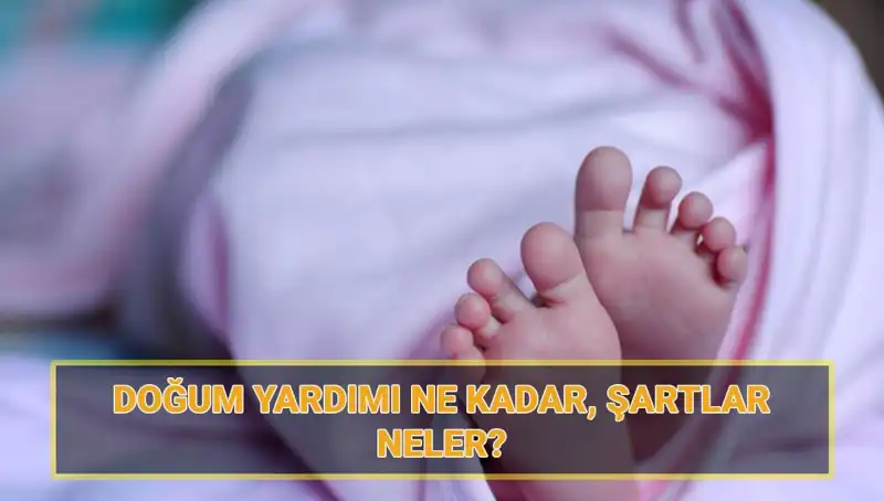 2025 Çocuk Parası ve Doğum Yardımı Başvuruları Başladı! İşte Tüm Detaylar