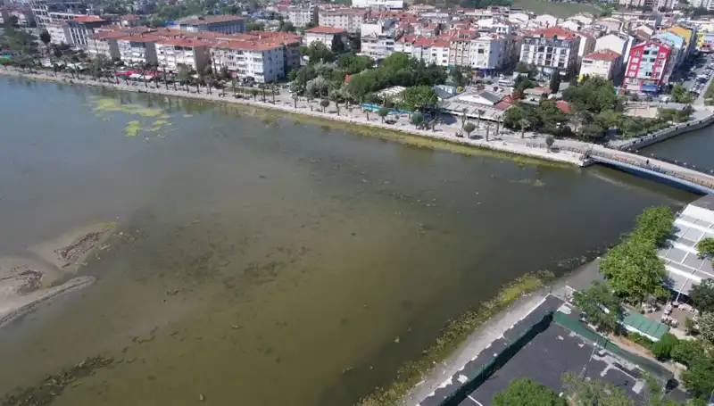 Marmara Denizi’nde Şok Eden Gelişmeler: Ciddi Risk Uyarıları!
