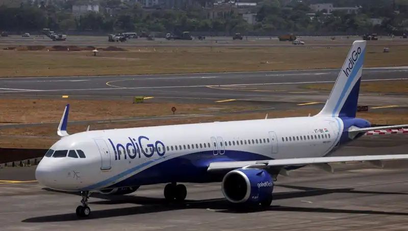 Uçak Doluyla Karşılaştı: Yolcular ve Pilot Panik Yaşadı!