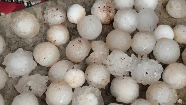 Şanlıurfa'da Kar Topu Gibi Dolu Yağışı Hayat Kaldırdı!