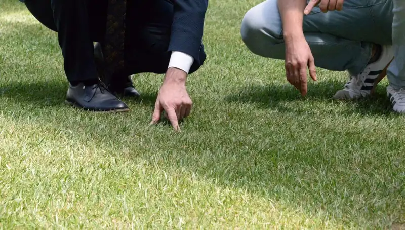 Stadyum Zemini Tartışmaları Sona Eriyor: 10 Gün İçinde Tamamlanacak!
