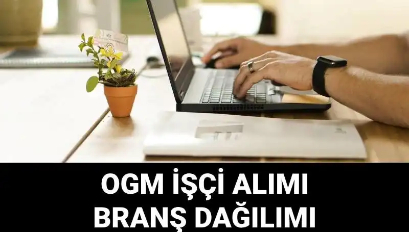 Orman Genel Müdürlüğü 4500 Geçici İşçi Alımı İlanı: Başvuru Süreci ve Şartlar