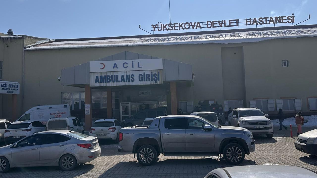 Hakkari'de Saldıran Köpekler Bir Çocuğu Öldürdü