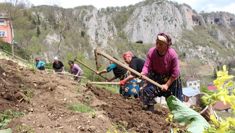 Zorlu Mesai Başladı: Sepetler ve Kazmalarla Tarımın Kalbine Yolculuk