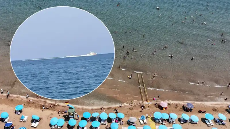 Plajda Köpek Balığı Korkusu: Sahil Boşaltıldı, Gerçek Başka Çıktı!