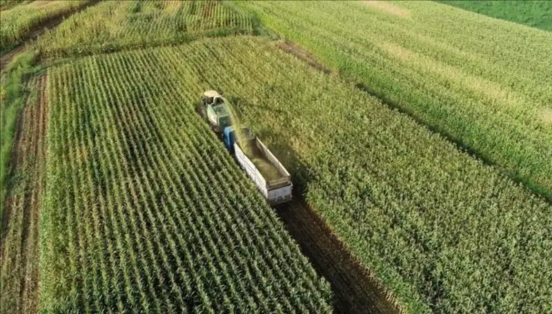 Mart 2025 Mazot ve Gübre Desteği Ödemelerine Dair Son Gelişmeler