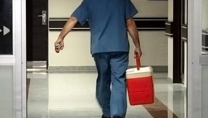 Organ Bağışında Devrim: e-Devlet ve e-Nabız ile Hızla Gelişen Yeni Dönem