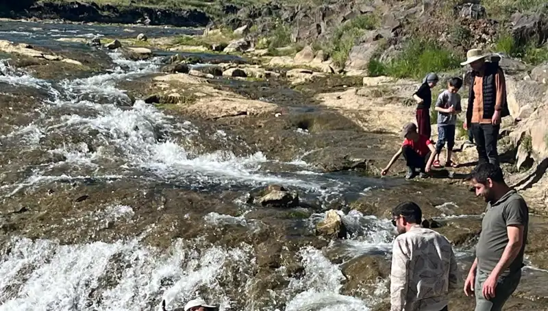 İnci Kefalinin Eşsiz Göçü: Doğanın İhtişamına Tanıklık İçin Geliyorlar