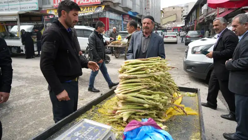 Dağlık Alanların Şifalı Şekeri: Kanser ve Mide Hastalığına Karşı Doğal Bir Çözüm!