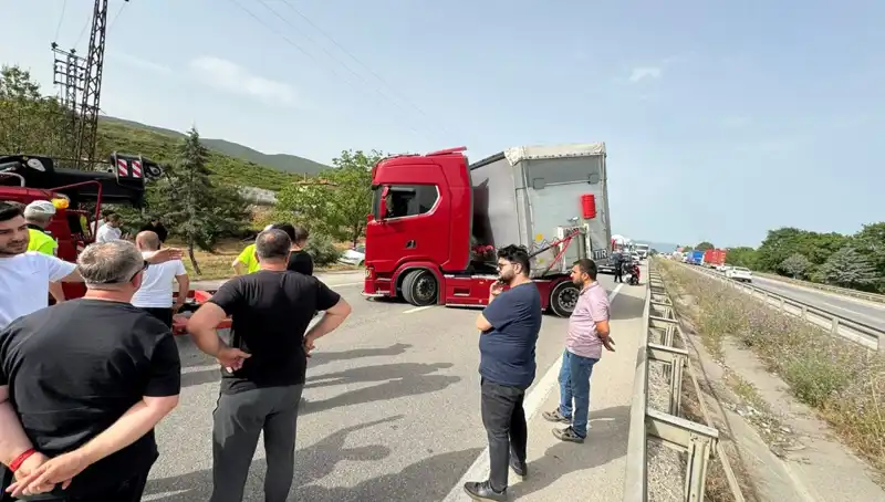 Seyir Halindeyken Arı Soktu: Trafik Kilitlendi, Otomobilde Şok Anlar