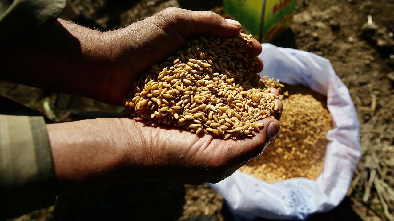Tarım Kredi Marketlerinden Ata Tohumları Satışında İş Birliği