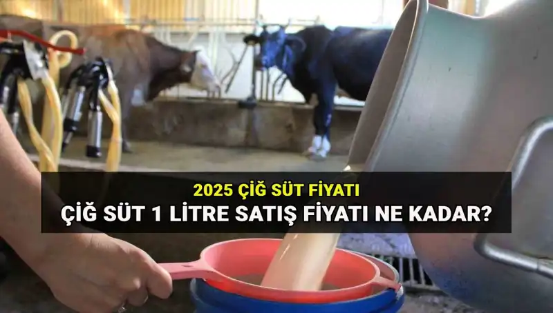 2025'te Çiğ Süt Fiyatları Ne Olacak? Ulusal Süt Konseyi Açıklıyor!