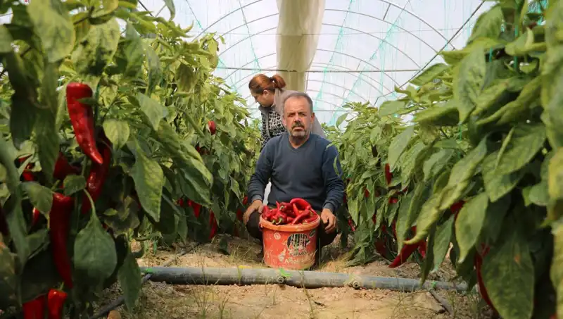 Fiyat artışı tüketicileri şaşırtıyor: 50 TL’lik ürün şimdi 80 TL oldu!
