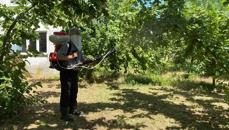 Çiftçilerin Umudu: Kükürt ve Samuray Arısı ile Tarımda Devrim