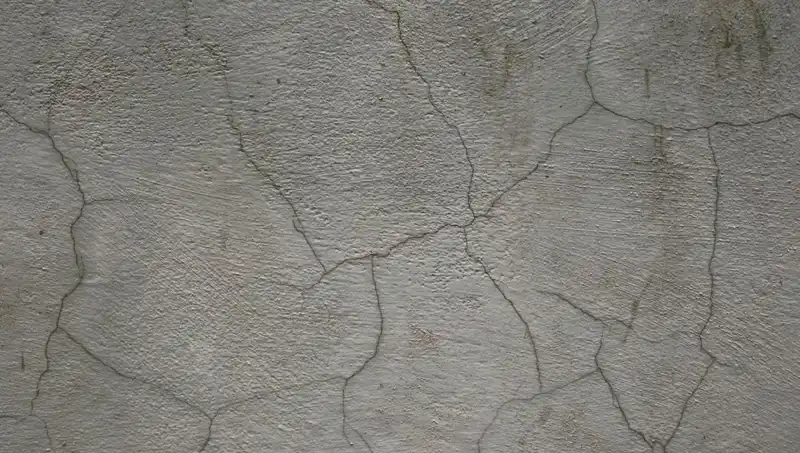 Düşük Maliyetli Canlı Beton ile Yapıların Süresiz Bakımı Mümkün hale Geldi