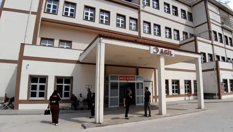 Bolu'da Ayı Avı İle İlgili Karar: Doğanın Dengesini Koruyacak mı?
