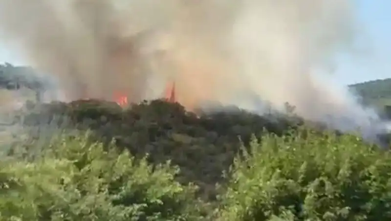 İstanbul'da Orman Yangını: Acil Tahliye ile Günlerce Süren Tehlike