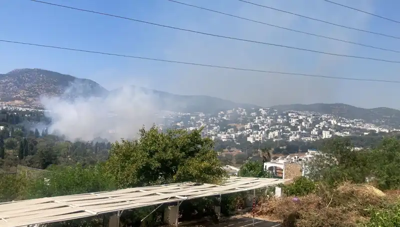 Muğla'daki Orman Yangınları Kontrol Altına Alındı, Son Durum Nedir?