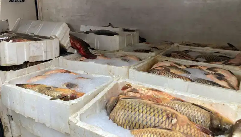 Kaçak Balık Avına Çıkanlara Binlerce Lira Ceza Uygulandı