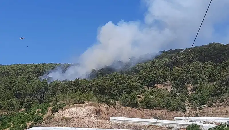 Kumluca'da Orman Yangını: Geniş Alanlar Etkileniyor